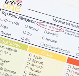 Foods Checklist Magnet